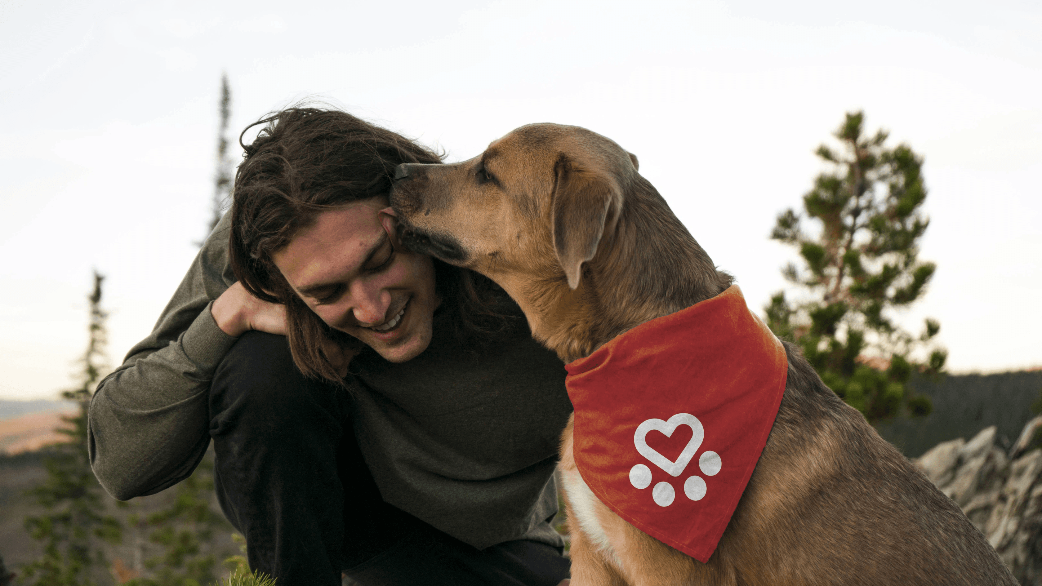 Spanish Stray Dogs dog with logo bandana
